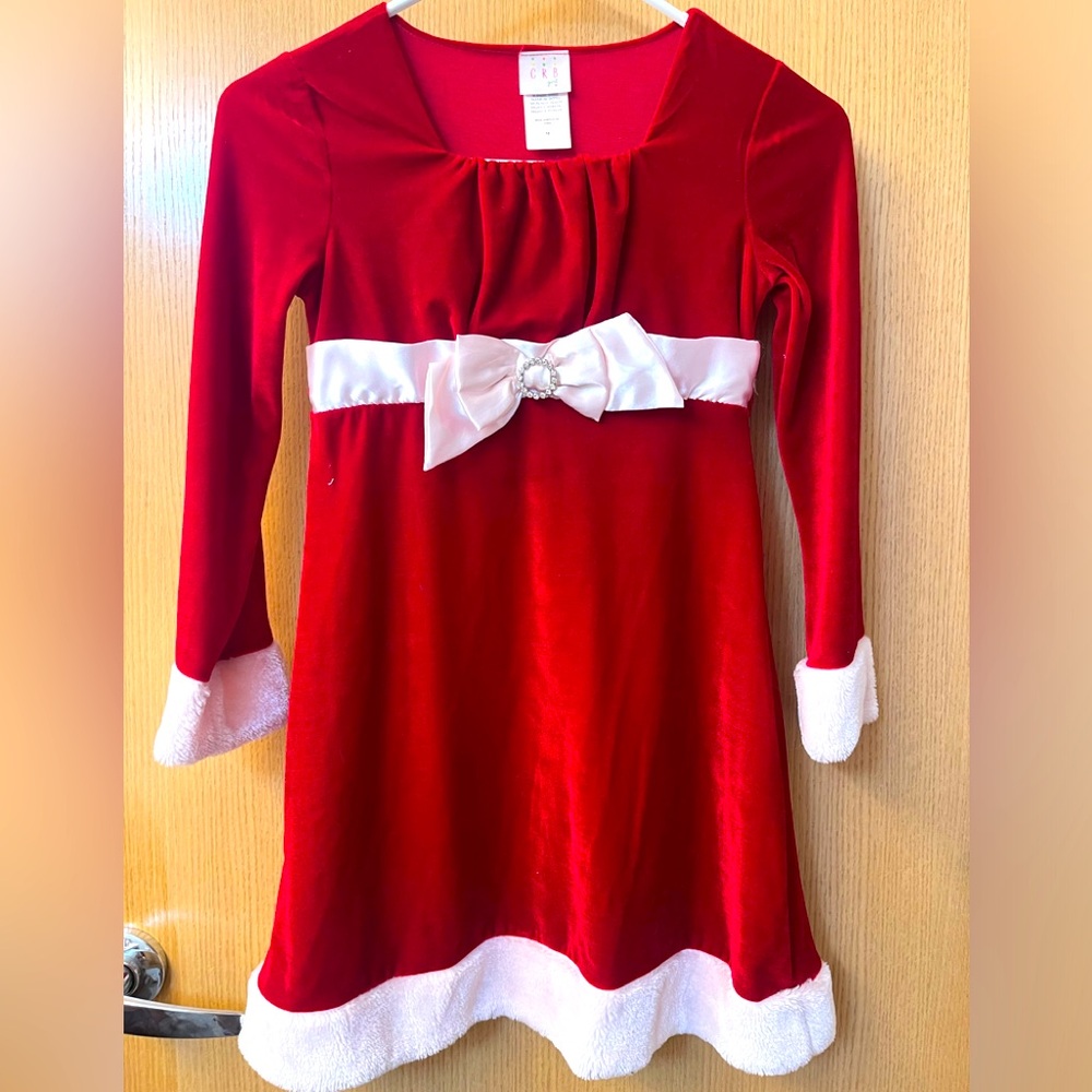 Christmas- Holiday girls dress size 10.